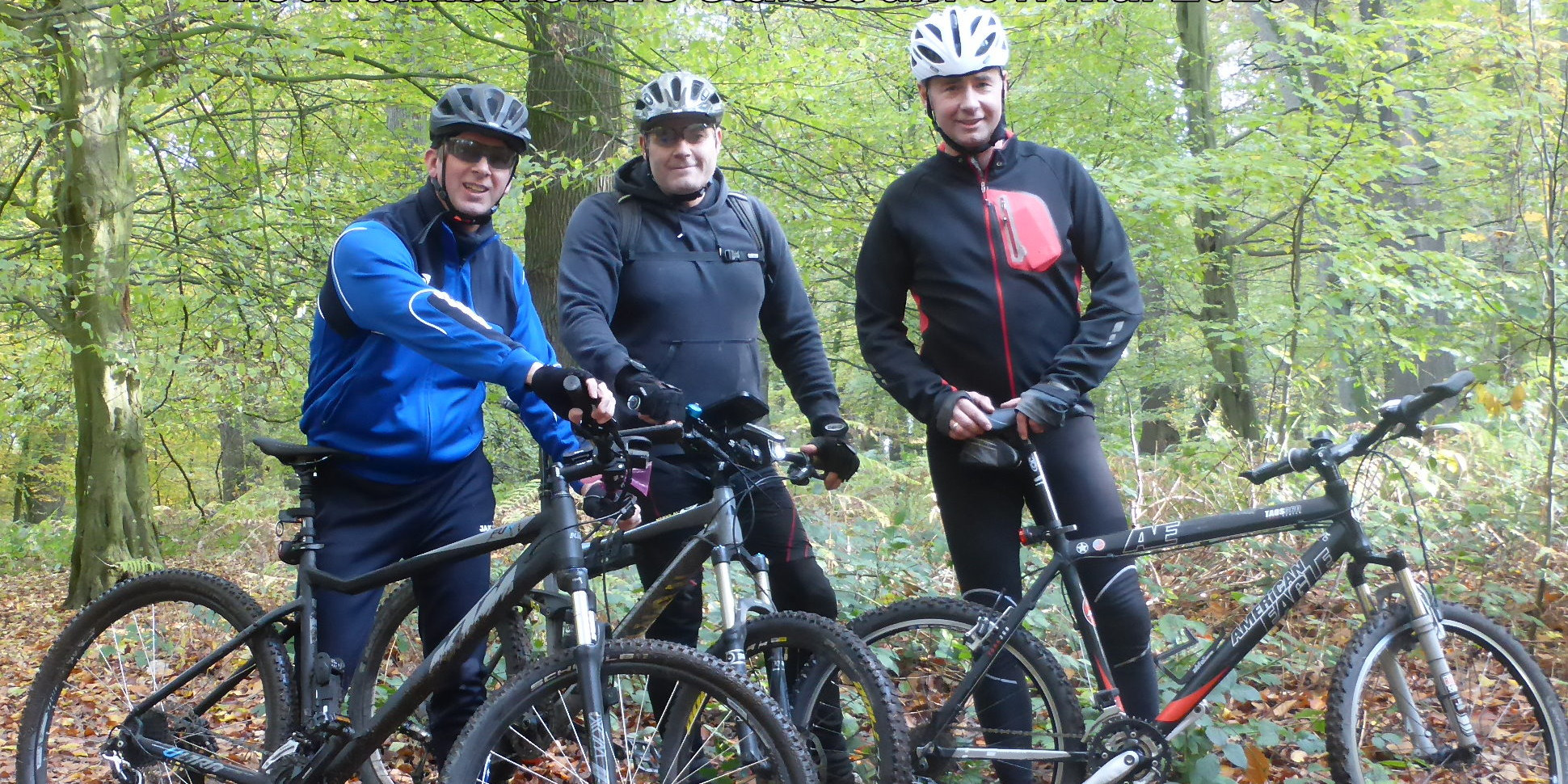 Die MTB Radler im Wald